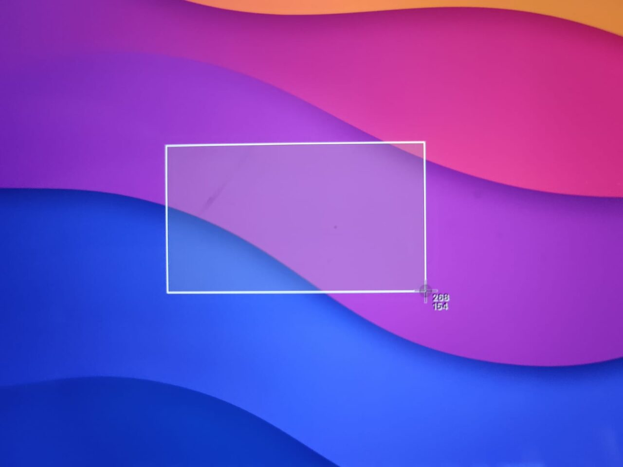 How to Take a Screenshot on Mac: 5 Easy Methods 6 Selection canvas