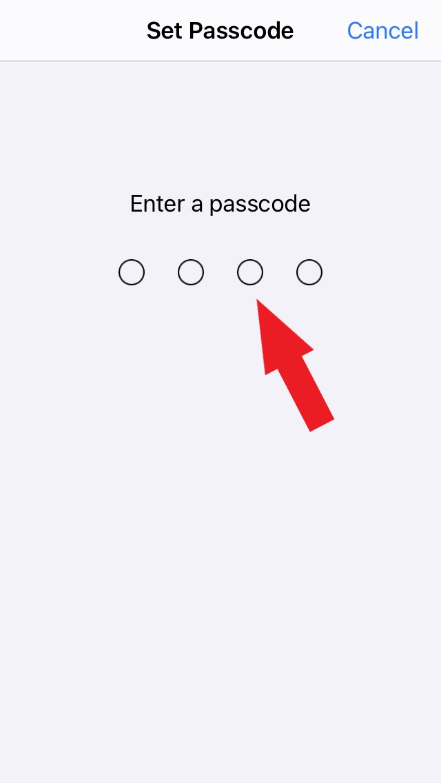 set a passcode