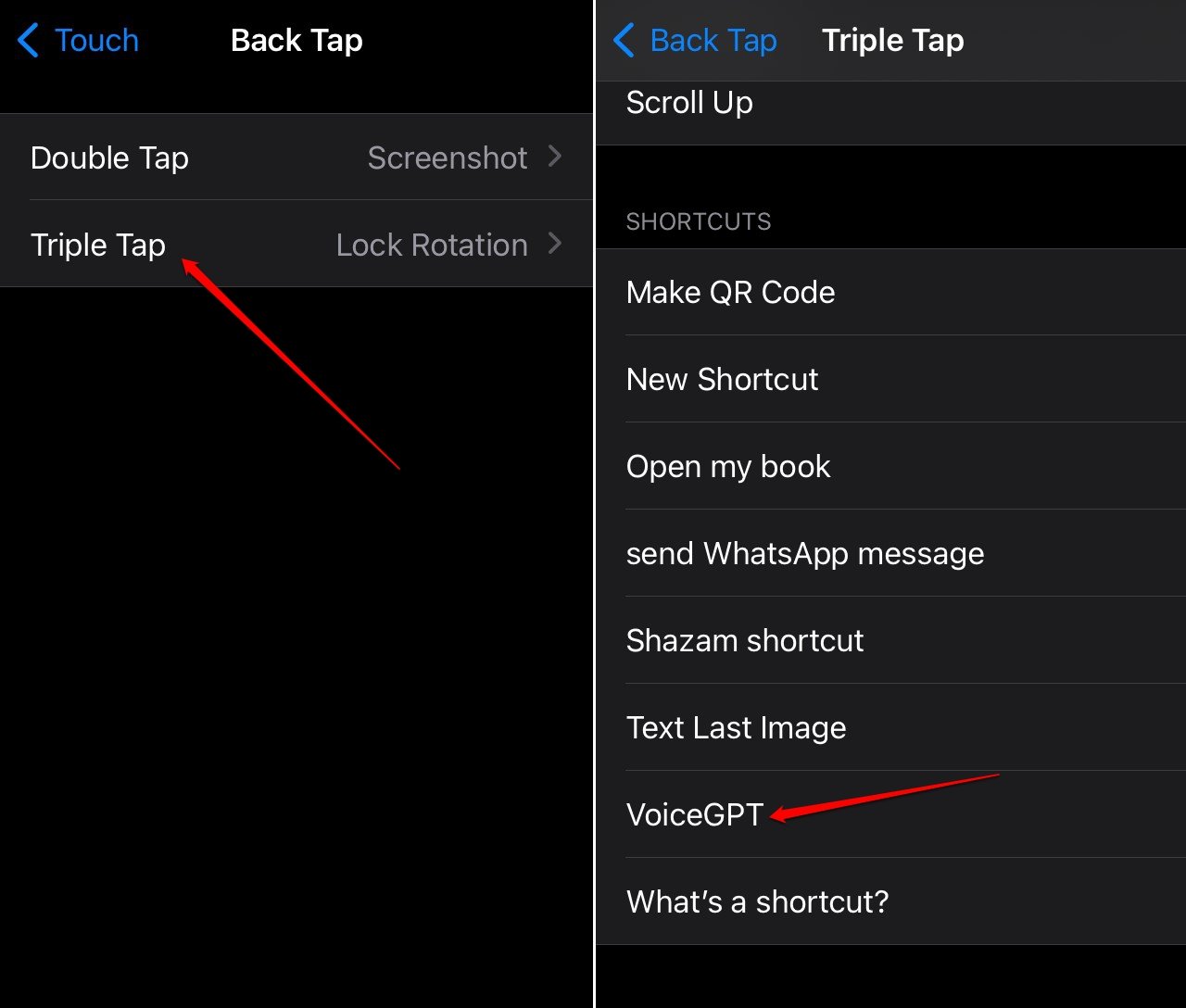 What is ChatGPT Voice and How to Use it on Your Mobile 10 set an action to invoke the ChatGPT voice on iPhone