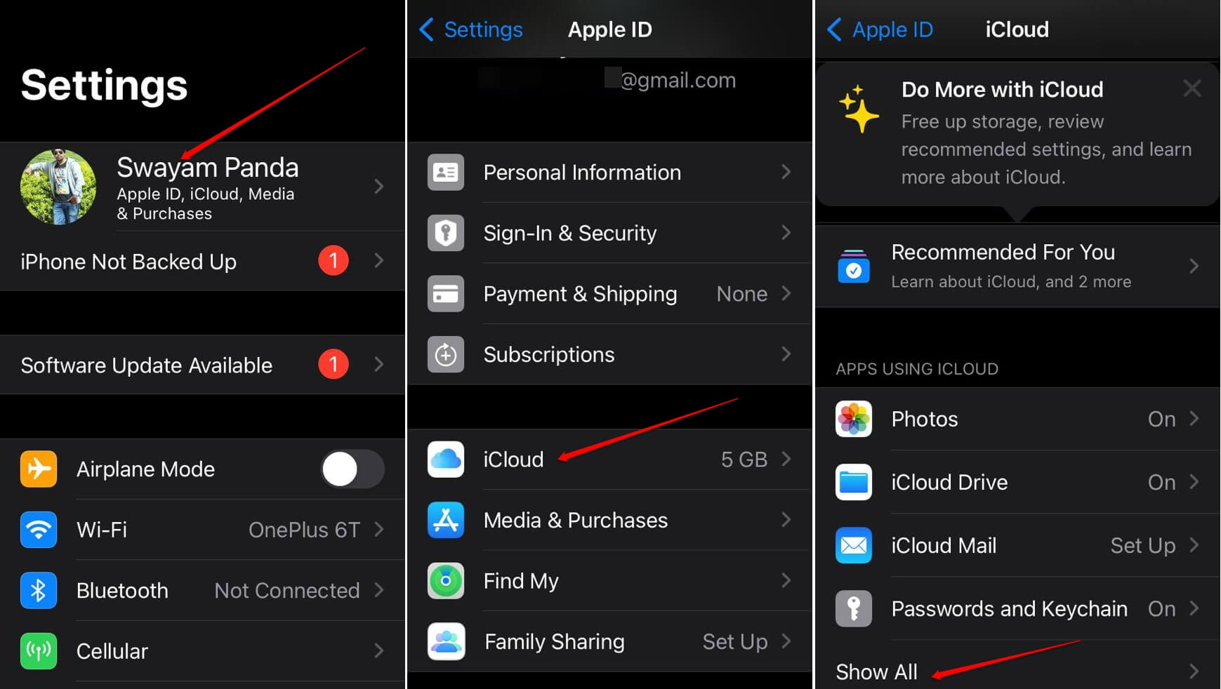 show all the apps using iCloud