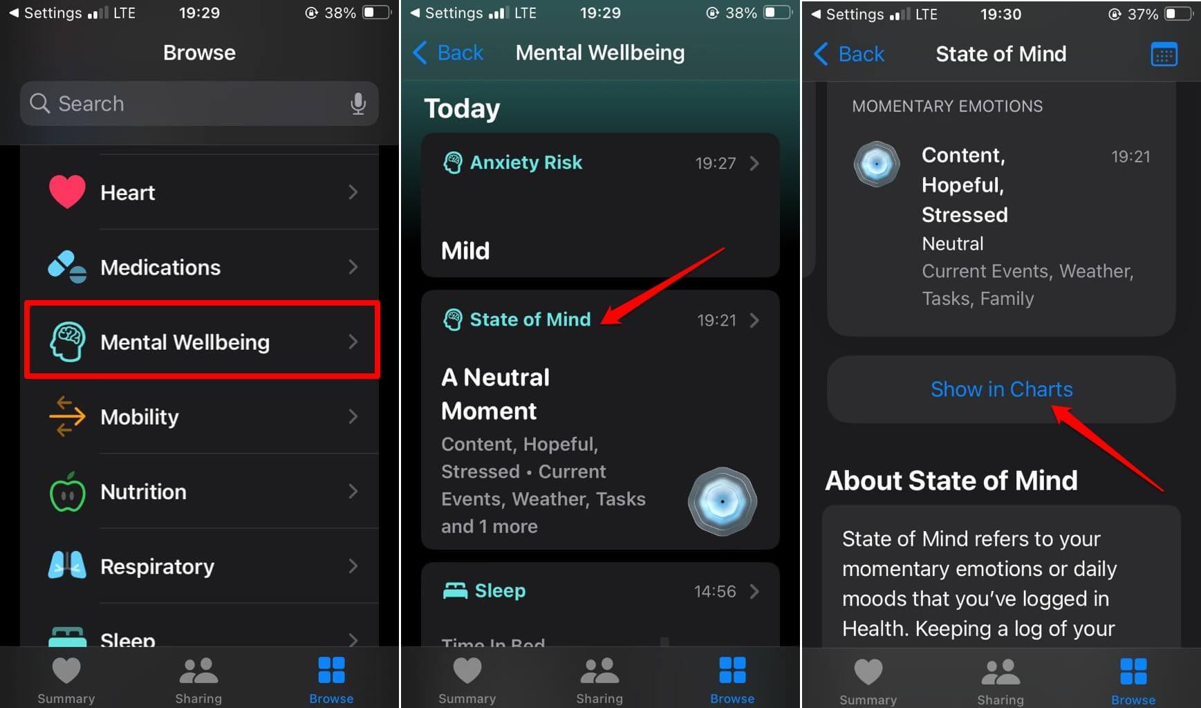 How to Use Mental Wellbeing in Health App in iOS 17? 9 show state of mind log as chart