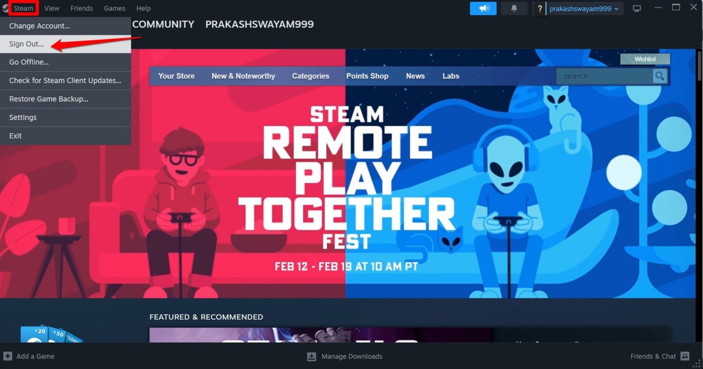 How to Fix Steam Stuck in Offline Mode on Windows 11 2 signout of Steam account