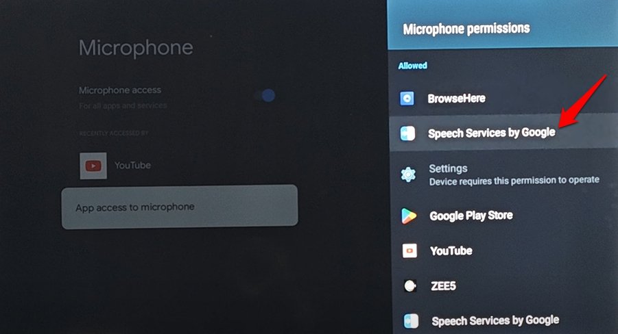 YouTube Voice Search Not Working on Smart TV: How to Fix? 13 speech services by Google