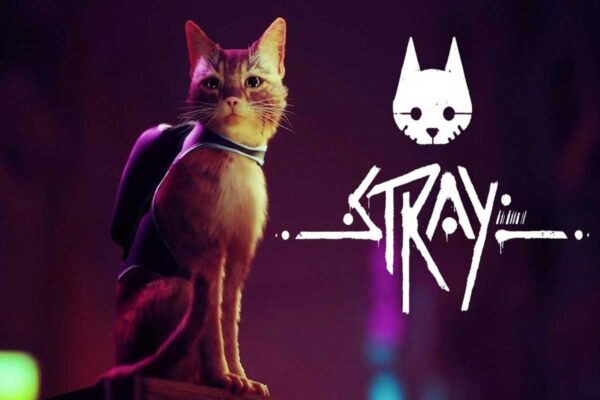 How To Fix Stray Low Level Fatal Error