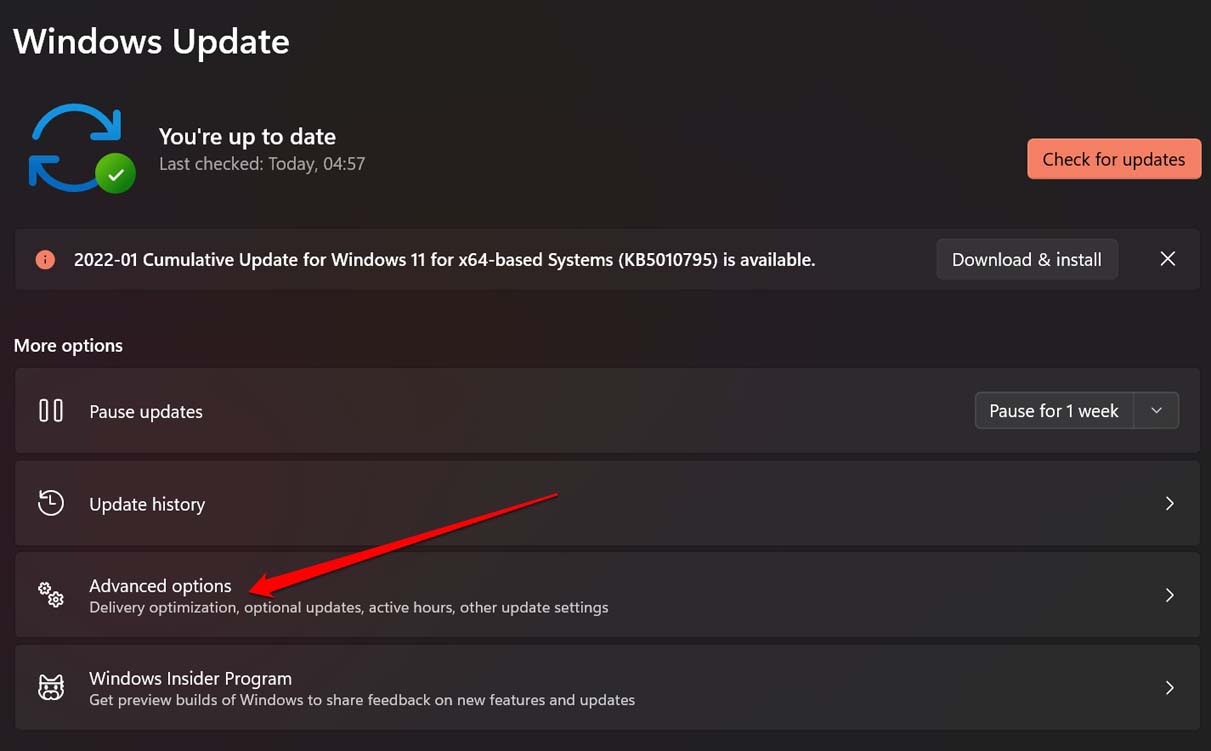 Display Resolution Not Changing in Windows 11: Fix it Now 20 tap on Advanced Options