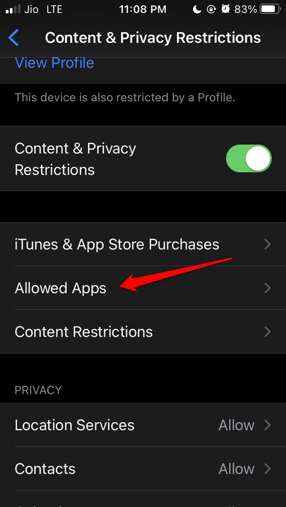 How to Fix Camera Icon Missing on iPhone? 7 tap on Allowed Apps