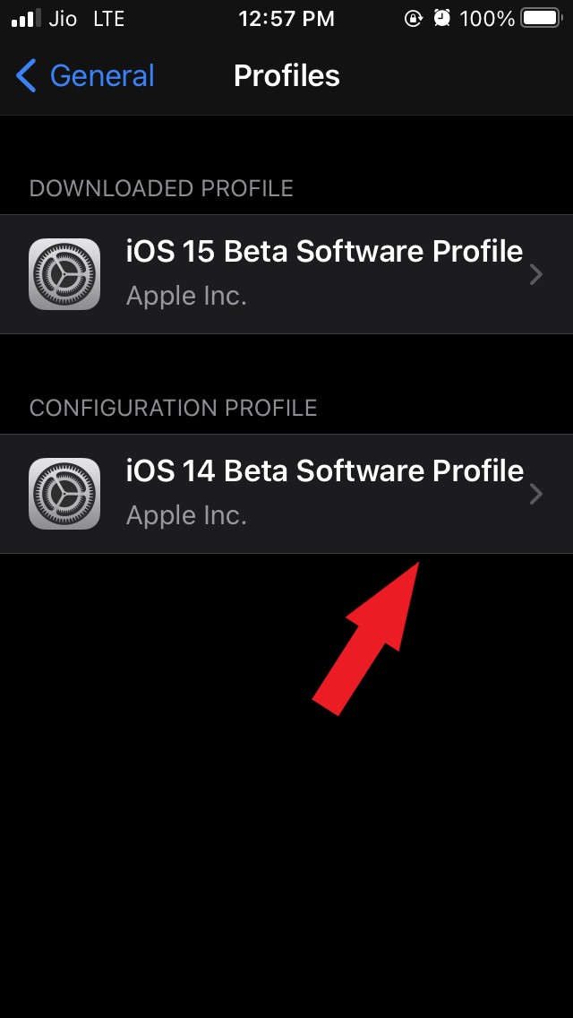 How To Install iOS 15 Beta on iPhone? 4 tap on iOS 14 profile