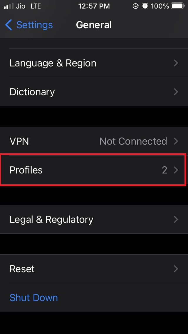 How To Install iOS 15 Beta on iPhone? 3 tap on profiles