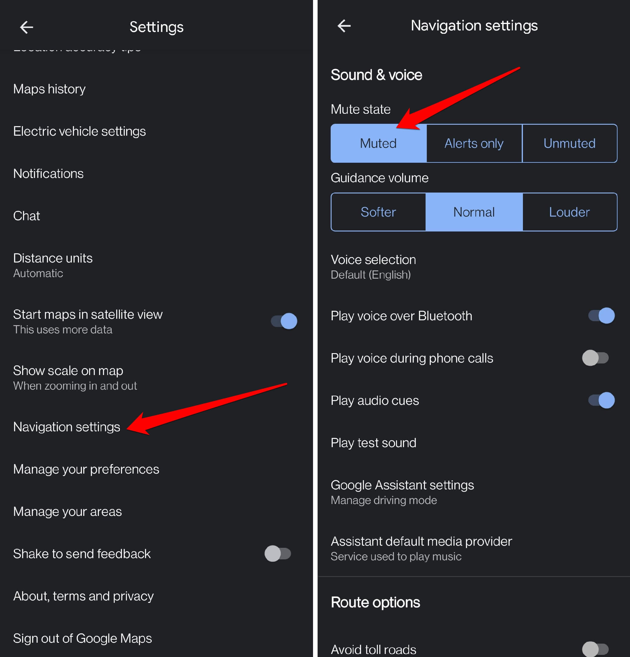 turn off voice navigation on Google Maps
