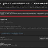 I didn't knew this Windows 11 feature was secretly uploading software updates to other computers 2