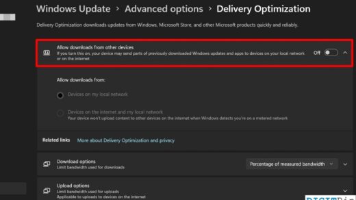 I didn't knew my Windows 11 feature was secretly uploading software updates to other computers 1