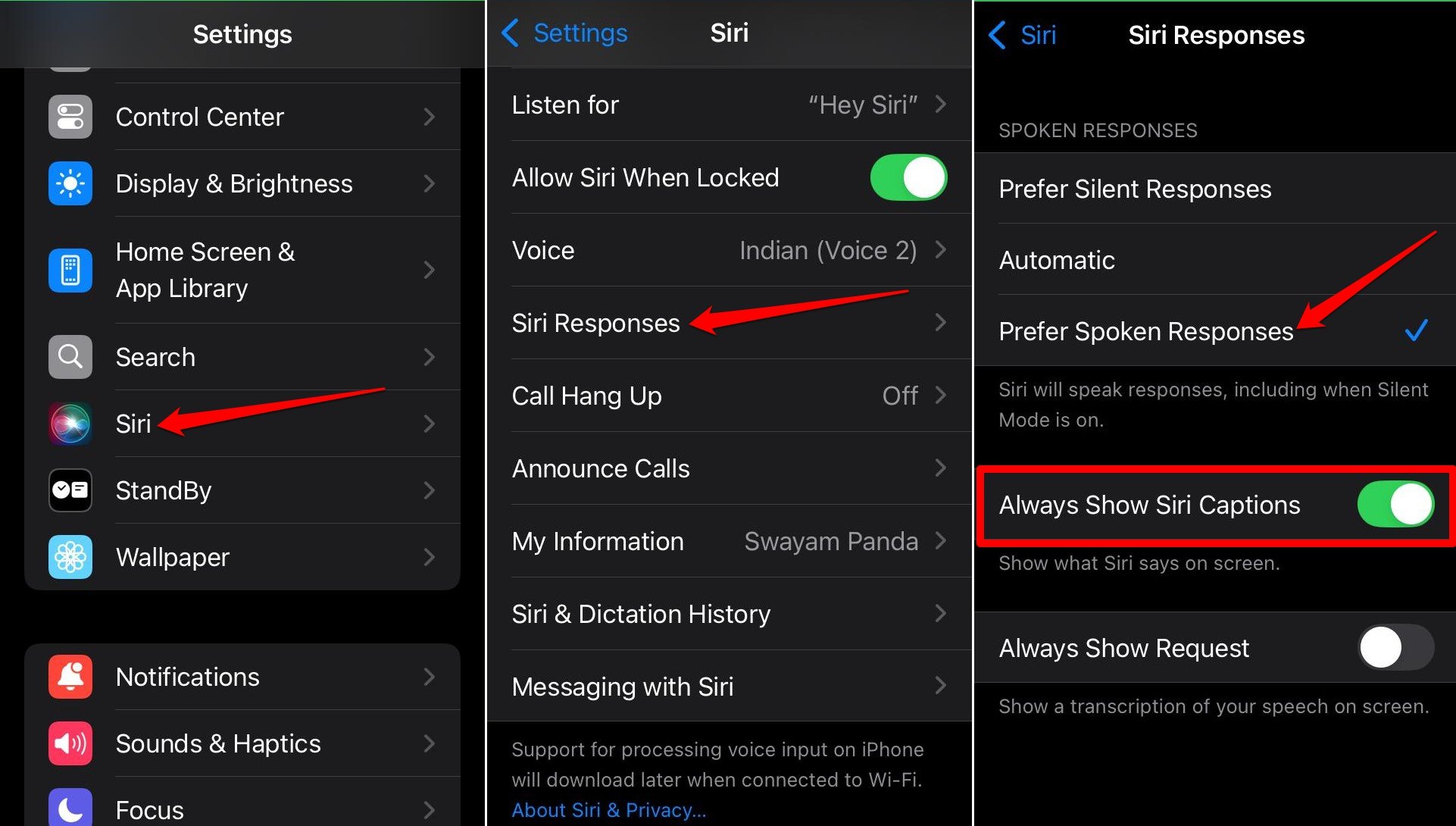 How to Reset Siri on Your iPhone? 7 turn on spoken responses from Siri on iPhone