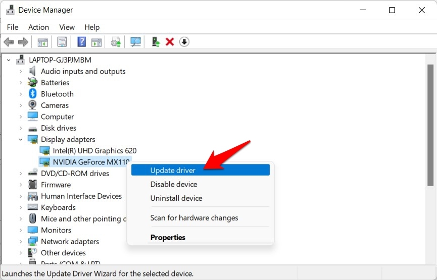 How to Fix Night Light Not Working in Windows 11? 4 update graphics card drivers windows 11