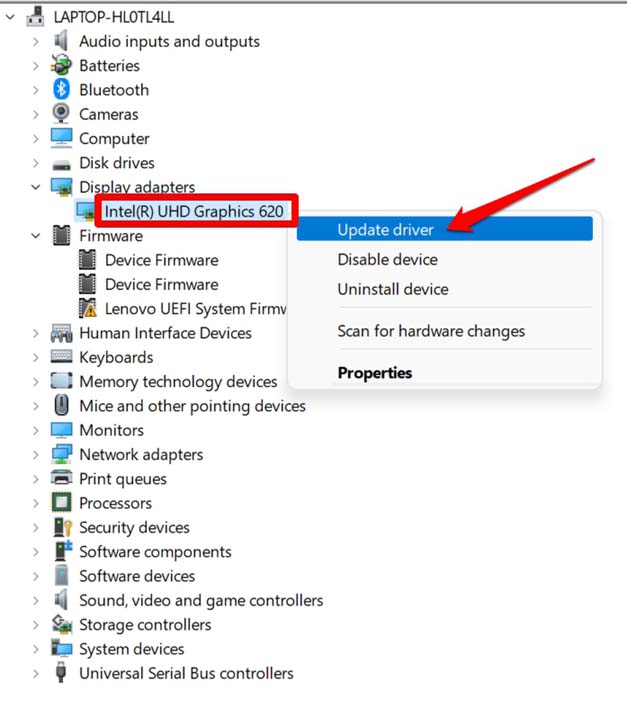 Skype is Crashing on Windows 11: How to Fix 12 update graphics driver