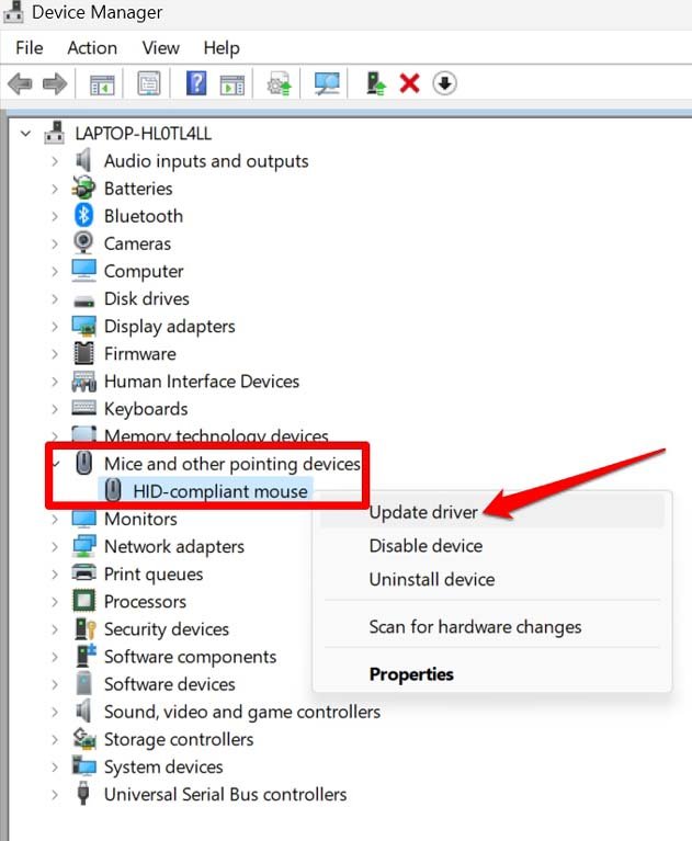 Mouse is Auto Scrolling in Windows 11: How to Fix? 3 update mouse driver Windows