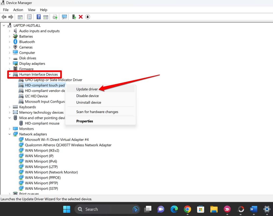 How to Fix Pinch to Zoom Not Working Windows 11? 11 update touchpad driver windows 11