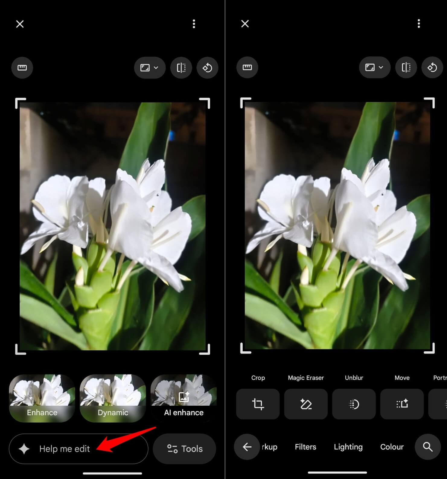 Gemini is on everything now and here’s what I actually use it for 5 using Gemini AI in Google Photos