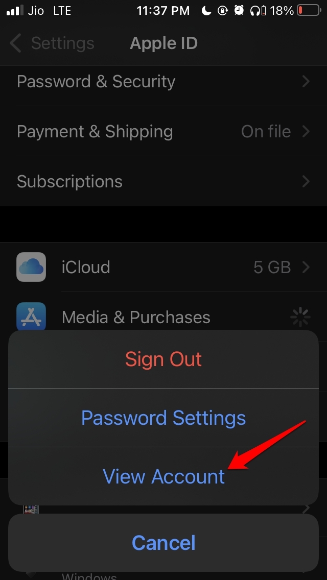 view account apple ID