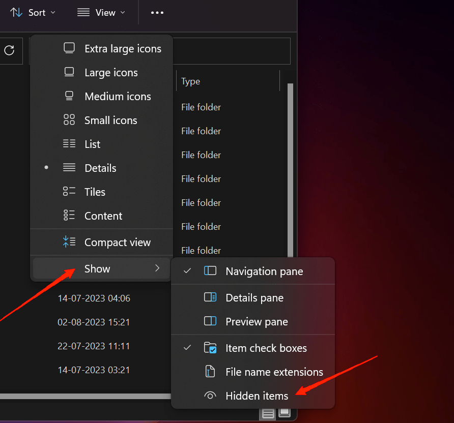 How to Fix Epic Games Launcher Not Opening on Windows 11? 4 enable the Hidden option to view all the hidden files and folders