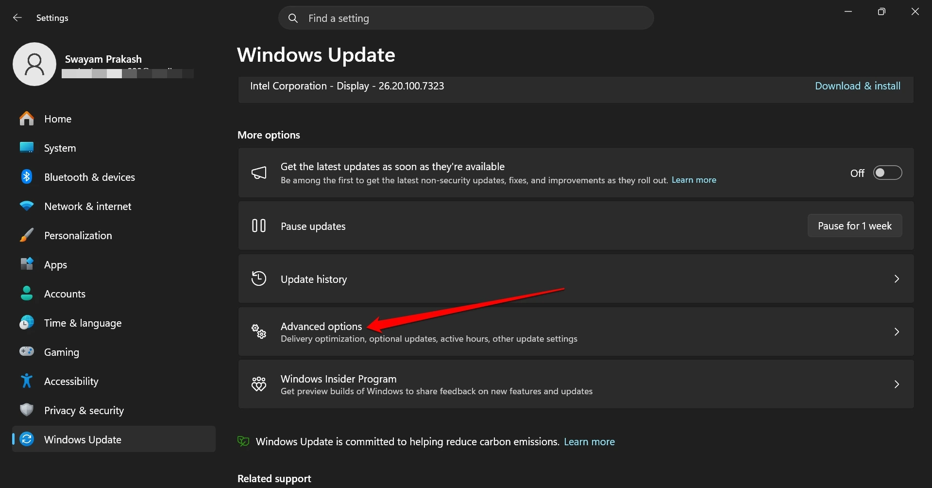 I Didn't Know My Windows 11 Feature Was Secretly Uploading Software Updates to Other Computers 3 windows 11 advanced options